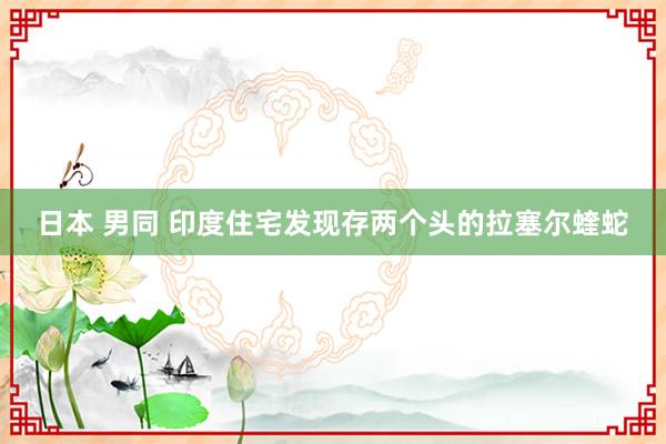 日本 男同 印度住宅发现存两个头的拉塞尔蝰蛇