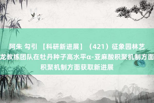阿朱 勾引 【科研新进展】（421）征象园林艺术学院张延龙教练团队在牡丹种子高水平α-亚麻酸积聚机制方面获取新进展