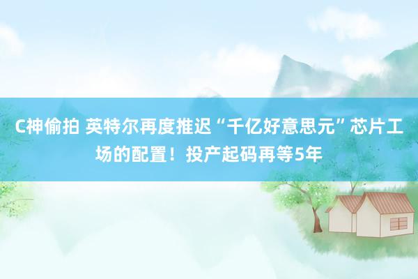 C神偷拍 英特尔再度推迟“千亿好意思元”芯片工场的配置！投产起码再等5年
