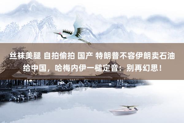 丝袜美腿 自拍偷拍 国产 特朗普不容伊朗卖石油给中国，哈梅内