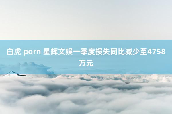 白虎 porn 星辉文娱一季度损失同比减少至4758万元