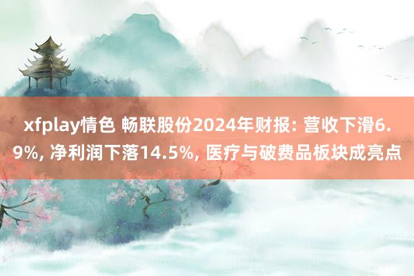 xfplay情色 畅联股份2024年财报: 营收下滑6.9%