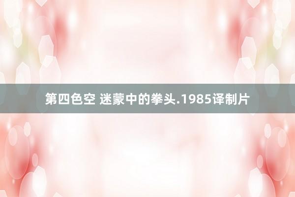 第四色空 迷蒙中的拳头.1985译制片