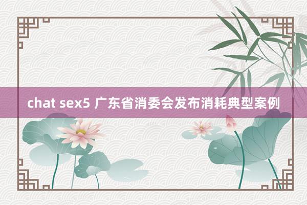 chat sex5 广东省消委会发布消耗典型案例